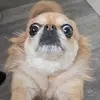 Cam HenDERPson - @cameron.hendy10 - TikTok