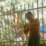 Cam Hua - Facebook