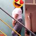 Ivana Camila Huaman Rojas - Facebook