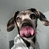Cam Hughes - @camdenhughes12 - TikTok