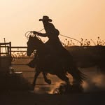 Cam Jensen - @camjensen22 - Instagram