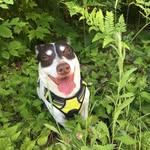 cam key - @traveldogandhisnurse - Instagram