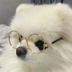 김밍고 - @camlang_cl - Instagram