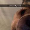 cam.leonard1.09 - @cam.leonard1.09 - TikTok