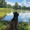 Camlott2002 - @your_favorite_friend_c - TikTok