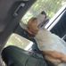Cam Lowe - Facebook