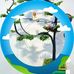 Cẩm Lưu - Facebook