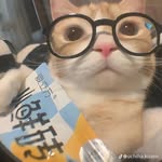 ✮⋆˙ᑕᗩᗰIᒪᑌᑌᑌ✮⋆˙ - @cam_luuuu_ - Instagram