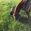 cam.mcmahon22 - @cam.mcmahon22 - TikTok