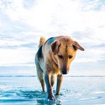 Cameron Metcalf - @cam_metcalf4509 - Instagram