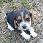 Cam Middleton - Facebook