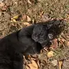 cammielee681 - @cammielee681 - TikTok