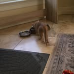 Cam miles - @camwildthing - Instagram