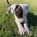 Cam Moyer - Facebook