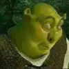 user1000908425758 - @notcammoyer - TikTok