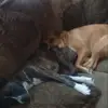 CAM Munoz - @cam.munoz7 - TikTok