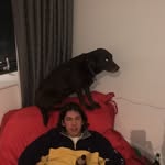 Cam Murray - @cammurray1 - Instagram