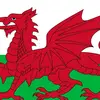 Cam wales - @cameronwales7 - TikTok