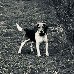 Camden Cobb - Facebook