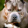 camdencollins890 - @camdencollins890 - TikTok
