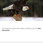 Camelia Reyes - Facebook