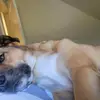 Cameron Abraham - @cameron.abraham7 - TikTok