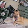 Cameron Abraham - @cameron.abraham - TikTok
