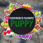 Cameron Akers - @everybodys_favorite_puppy - Instagram