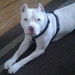 Cameron Akers - @cameron.akers000 - Instagram
