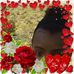 Cameron Alexander - Facebook