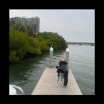 Cameron Allard - @allard_cameron - Instagram