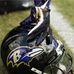 Alonzo Cameron - Facebook