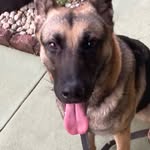 @cameronanglin272 - Instagram