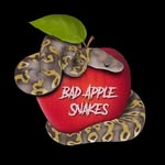 Cameron and Melissa Apple - @badapplesnakes - Instagram