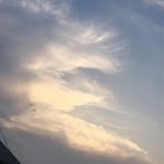 Cameron Arthur Mathison - @cameron.mathison7 - Instagram