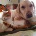 Cameron Dykes Asbell - Facebook
