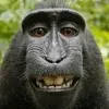 Cameron_vr - @cameronatkinson684 - TikTok