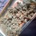 Cameron Auger - Facebook