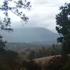 Cameron Ayers - @camerona200 - TikTok