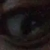 (UNKNOWN) - @cameronbaines2 - TikTok