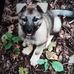 Cameron Baldwin - Facebook