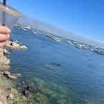 @cameron_bardin - Instagram