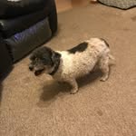 Cameron Bardwell - @cameronbardwell - Instagram