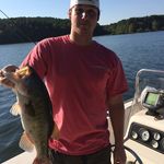 Cameron Barger - @cameronbarger1137 - Instagram