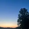 Cameron Barger - @cameron.barger3 - TikTok