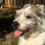 Cameron Bartholomew Huitt - @cbhuitt - Instagram