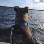 Cameron Barton - @cbarton_03 - Instagram