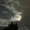 Cameron Barton - @cameronbarton4 - TikTok