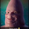 cameron_bauer - @cameron_bauer - TikTok