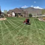 Cameron Bennett - @platinum.lawn.service - Instagram